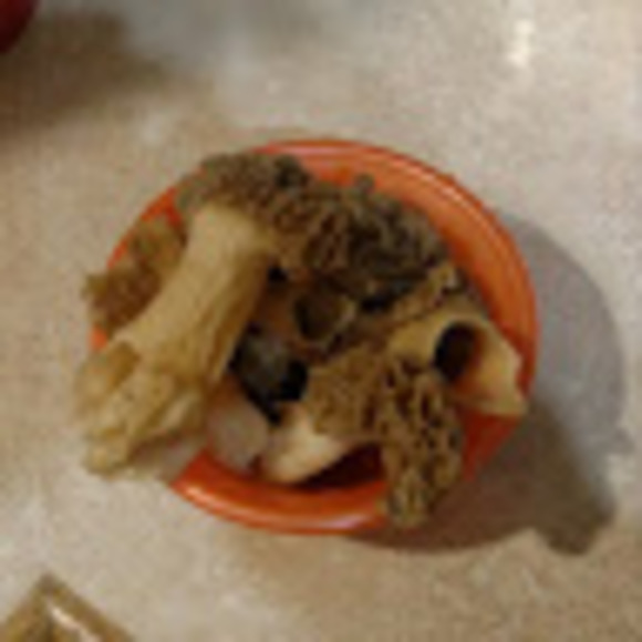 Meet your Posher, Nate - Picture 1 of 1